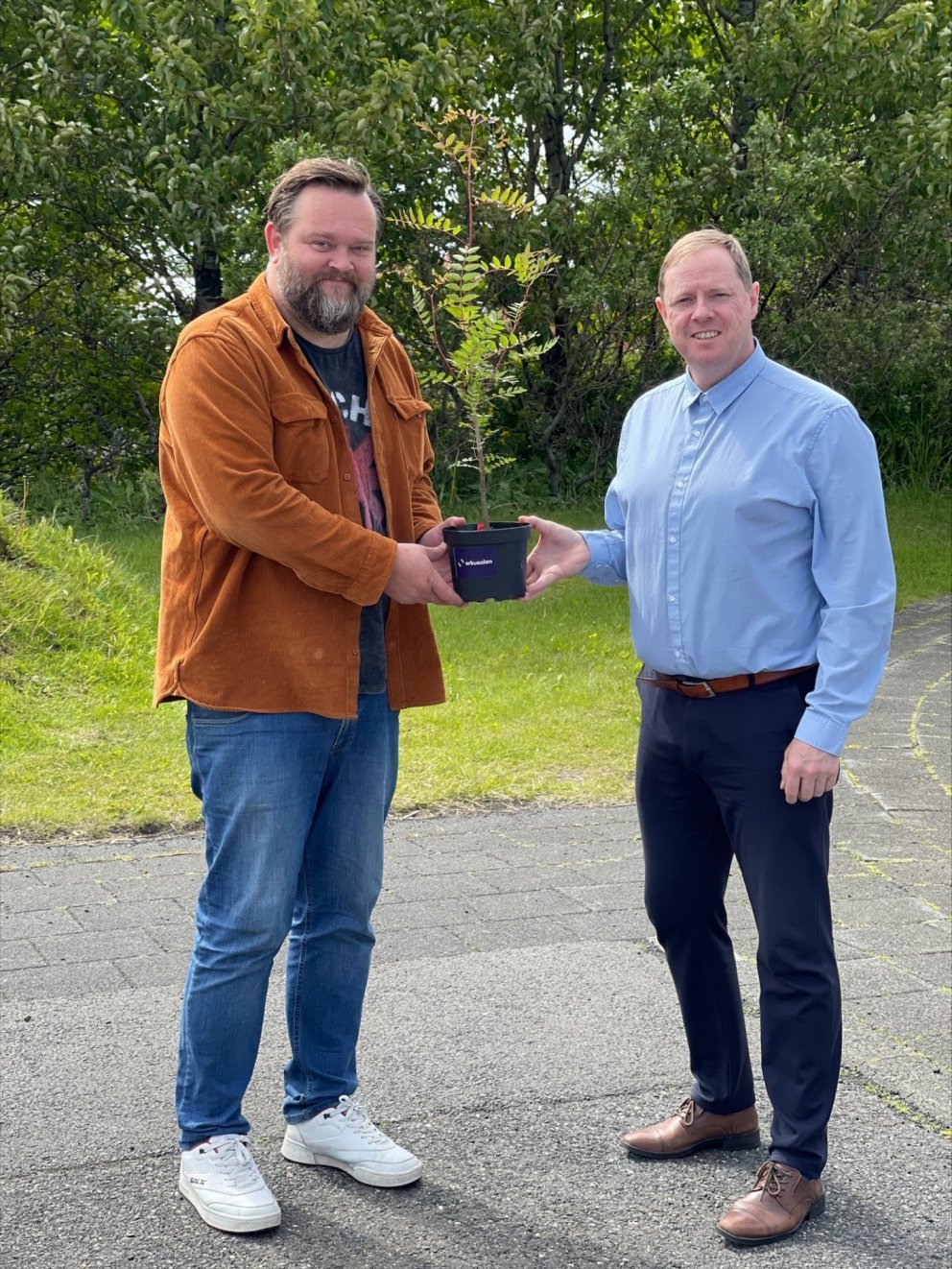 Grænar greinar frá Orkusölunni