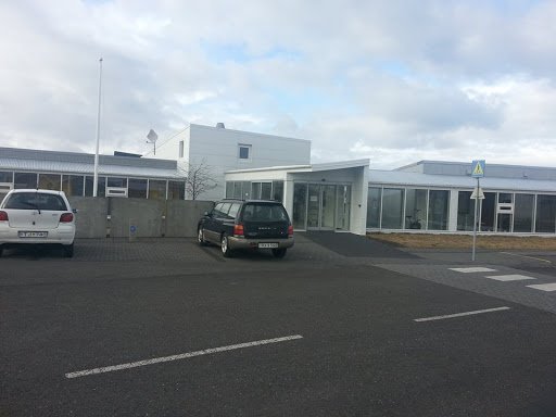 Starf í Álfagerði - afleysing