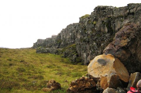 Dagur villtra blóma í Vogum sunnudaginn 14. júní