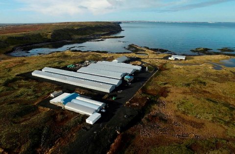 Aukin framleiðsla eldis í Vogavík