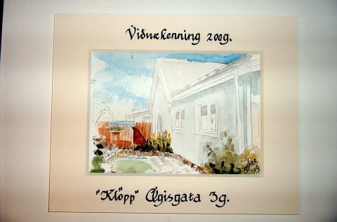 Umhverfisviðurkenningar Sveitarfélagsins Voga 2009