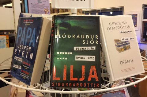 Lestrarfélagið Baldur-Bókasafnið opnar á ný-Nýjar bækur
