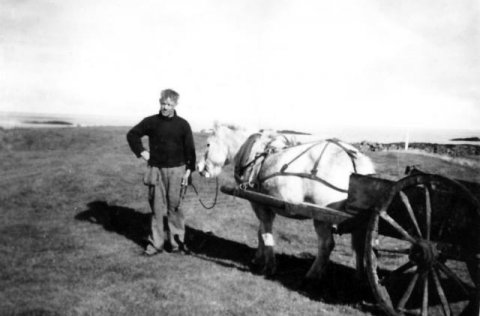 Gamlar myndir úr Sveitarfélaginu Vogum aðgengilegar á vefnum