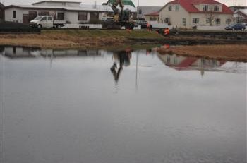 Vogatjörn. Grein eftir Þorvald Örn Árnason líffræðing