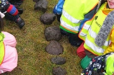 Heilsuleikskólinn Suðurvellir, frétt af starfinu