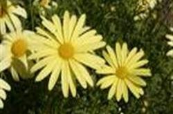 Umhverfisframkvæmdir hafnar