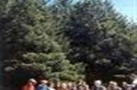 Aðalfundur Skógfells