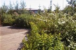 Tilnefningar til umhverfisviðurkenninga Voga 2007