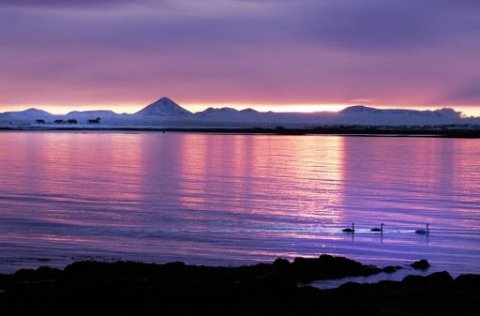 Jarðhræringar og gosórói – staðan 4. mars 2021