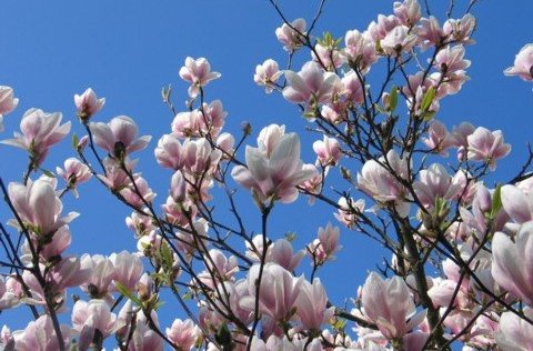 Ný heimasíða Orlofsnefndar Gullbringu- og Kjósarsýslu