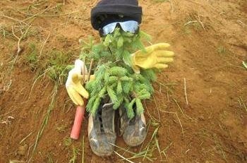 Breyttar áherslur Vinnuskólans