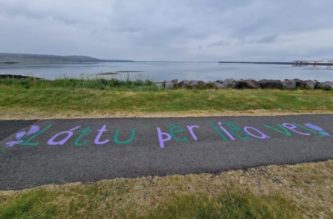 Hreinsunardagar í Vogum eru hafnir og standa til 2. júní.