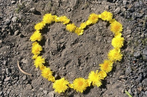 Verkstjóri í vinnuskóla