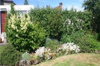 Umhverfisnefnd hrósar íbúum