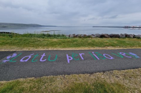 Vinnuskóli á grænni grein