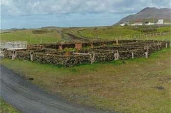 Réttardagur í Grindavík