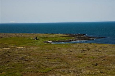 Sel og gjár á Strandarheiði