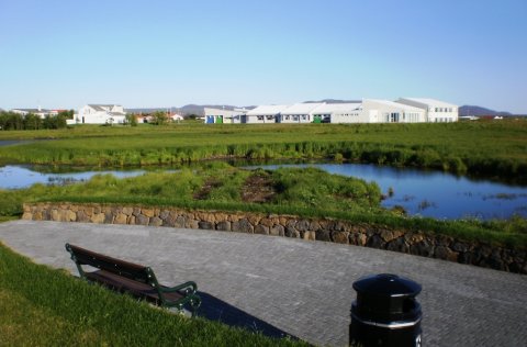 Gróska við Vogatjörn