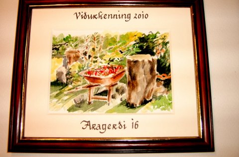 Umhverfisviðurkenningar