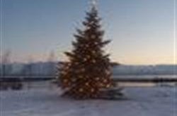 Jólaball kvenfélagsins Fjólu 27. desember