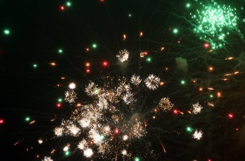 Fjölskyldudagurinn 2010