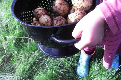 Sveitamarkaður Hlöðunnar