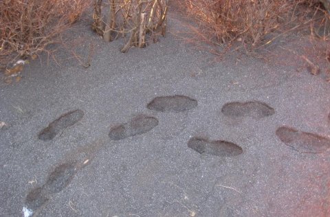 Fok jarðvegsefna - Tilraun til hreinsunar
