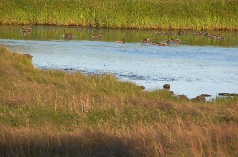 Haust og vetrarstarf er að hefjast