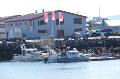 Bryggjudagur laugardaginn 9. júní – Takið daginn frá !