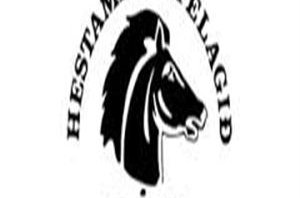 Reiðskóli Mána 2013