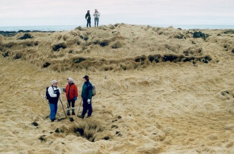 Menningar- og sögutengd ganga um Staðarhverfi, sögusvið verslunar, kirkjustaðar og útgerðar í Grinda&hellip;