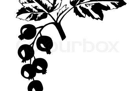 Kál, ber og ávextir