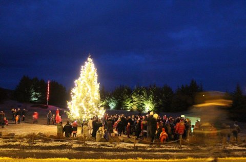 Tendrun jólatrés í Aragerði 7. desember