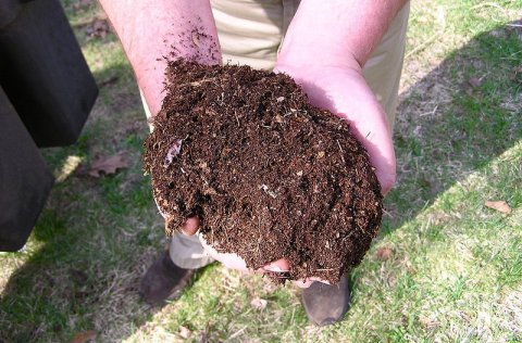 Ráðstefna um nýtingu lífræns úrgangs 20. mars