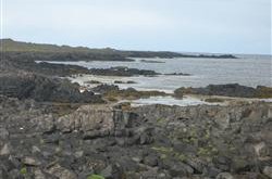 Sögu- og náttúrugönguferðir um Vatnsleysuströnd og Voga