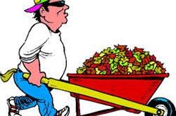 Umhverfisvika Sveitarfélagsins Voga framlengd