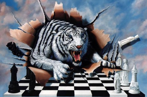 Skáknámskeið fyrir grunnskólabörn í Álfagerði