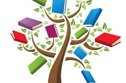 Opnunartími í sumar á bókasafninu