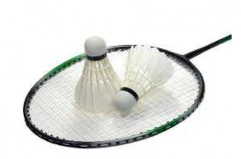 Langar þig að spila badminton ?