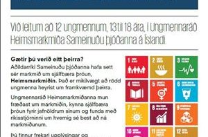 Ert þú á aldrinum 13 til 18 ára og vilt taka þátt í að bæta heiminn ?