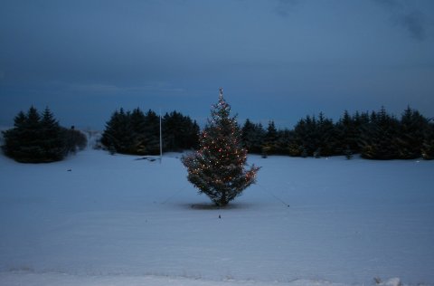Fyrsti í aðventu, sunnudagurinn 2. desember.