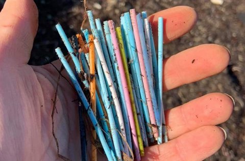 Góð þátttaka í stóra plokkdeginum