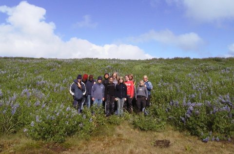 Sumarstörf - Flokkstjóri í Vinnuskóla