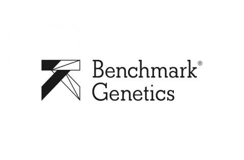 Tillaga að starfsleyfi Benchmark Genetics Iceland hf. í Vogavík