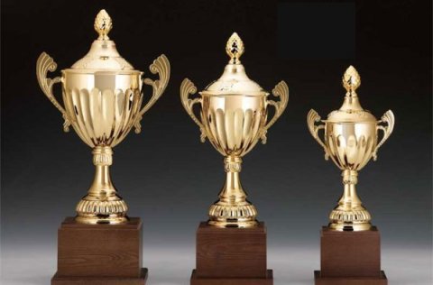 Íþróttamaður ársins - viðburði streymt - hlekkur á streymið