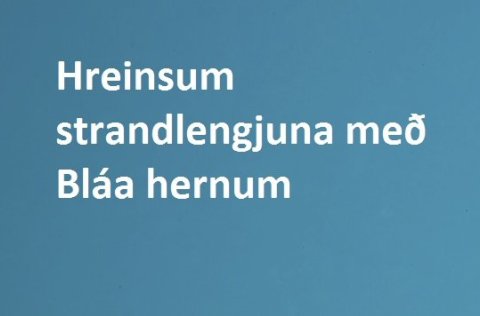 Fjöruhreinsun í Flekkuvík