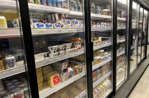 Vogus skal hún heita