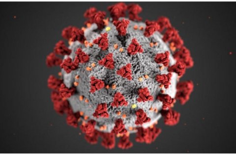 UPPFÆRT:  Þriðjudagur 11.01.22