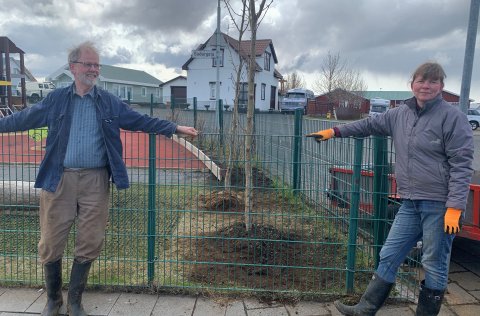 Trjáplöntun á lóð Heilsuleikskólans Suðurvalla
