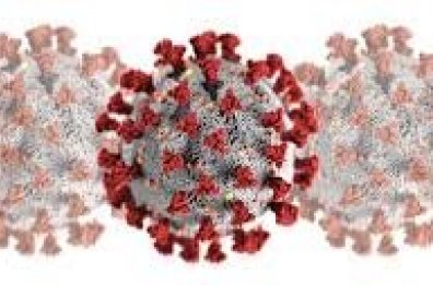 Covid.is - Spurt og svarað